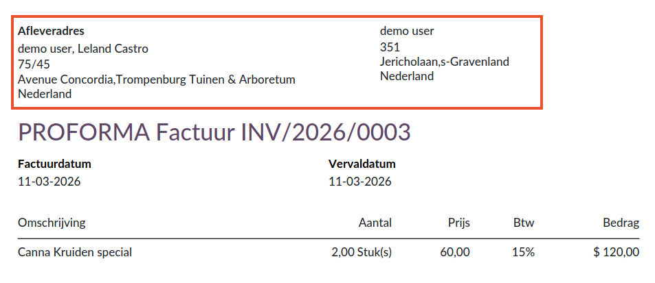 Invoice with Different Delivery Address