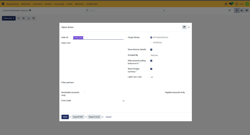 Open Items Filters